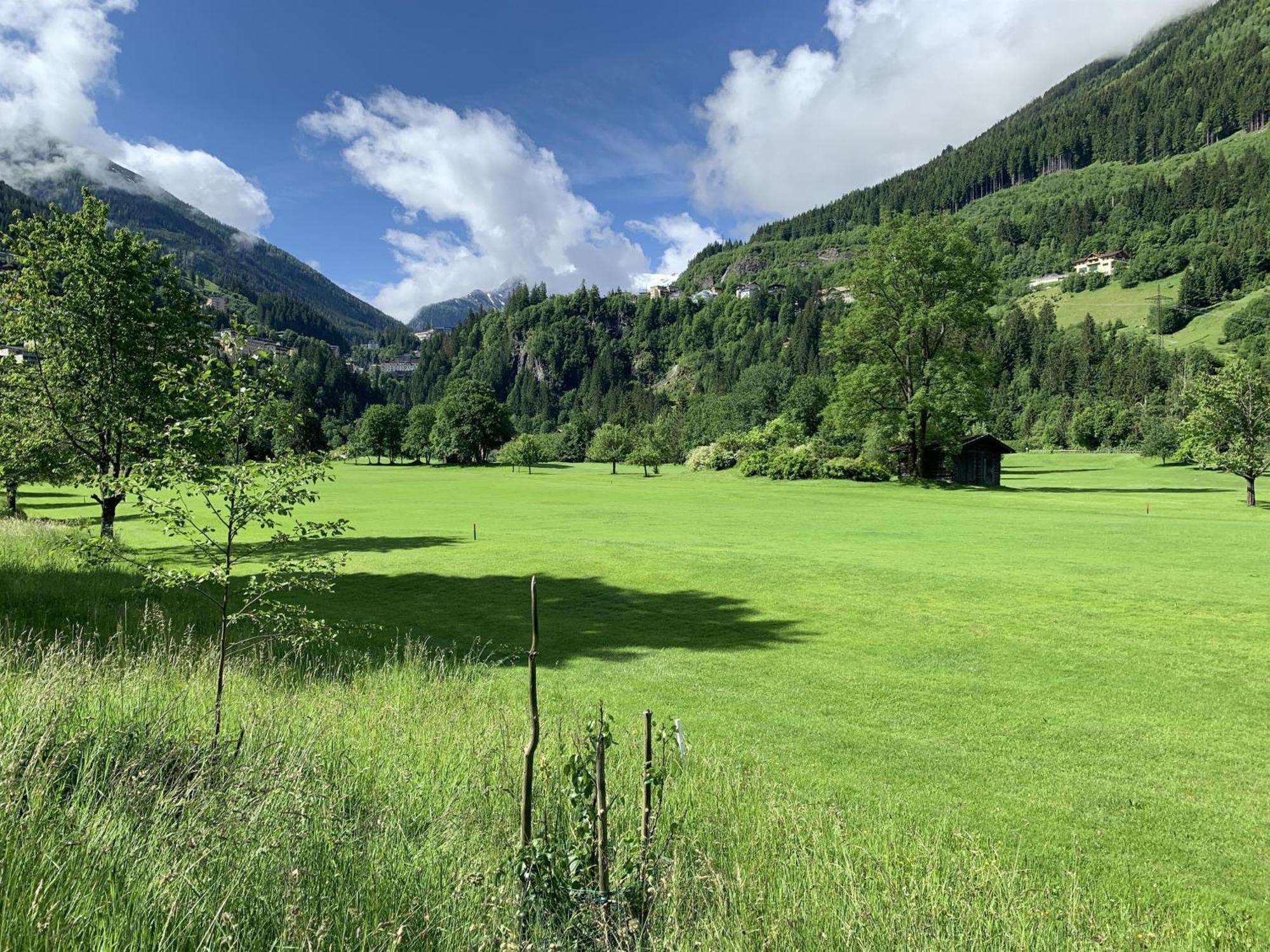 Ester Apartment Bad Hofgastein